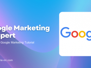 Google Marketing Adspert