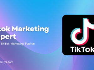 Tiktok Marketing Adspert